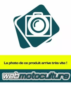 ECHO Module Allumage Débroussailleuse Shindaiwa