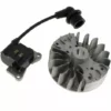 Bobine D'allumage 1e34f-2e-3 + Volant Pour Debroussailleuse Al-ko -Débroussailleuse Soldes Magasin 11727868 1