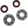 JARDIAFFAIRES Jeu De Joints Et Roulements De Vilebrequin Stihl FS120, FS200 Et FS250