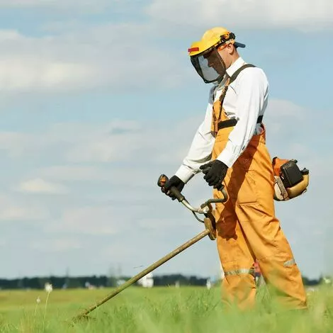 VERSAILLESFR Fil Pour Débroussailleuse Nylon Ronde 2,4 Mm X 86 M,Versailles 7 VERSAILLESFR Fil Pour Débroussailleuse Nylon Ronde 2,4 Mm X 86 M,Versailles – Image 5