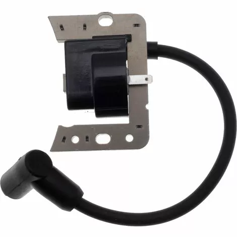 JARDIAFFAIRES Bobine D'allumage Adaptable Pour Moteur Tecumseh Remplace 34443 3 JARDIAFFAIRES Bobine D'allumage Adaptable Pour Moteur Tecumseh Remplace 34443