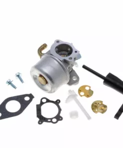 JARDIAFFAIRES Carburateur Adaptable Briggs Stratton Sortie Horizontale Remplace 798653