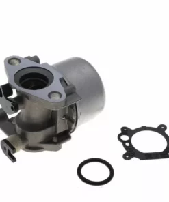JARDIAFFAIRES Carburateur Adaptable Pour Moteur Briggs Stratton Remplace 799871
