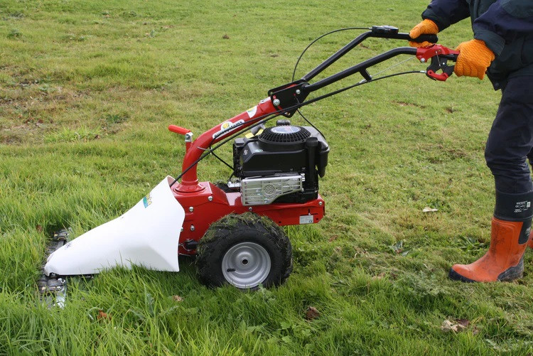 Débroussailleuse Soldes Magasin 37 Débroussailleuse Soldes Magasin -Débroussailleuse Soldes Magasin xl prdo img 62fa4a7f62201